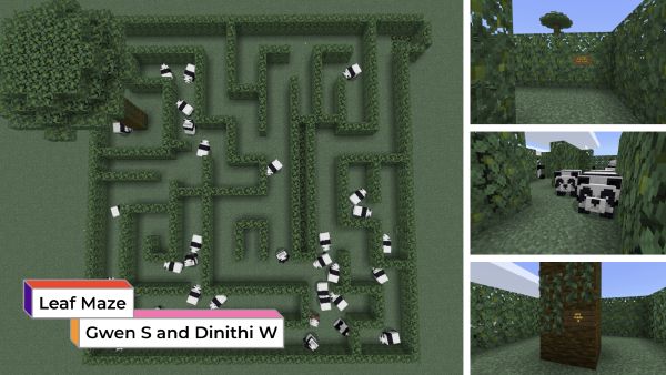 Leaf Maze